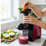 Cold Press Juicer