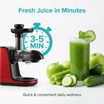 Cold Press Juicer