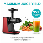 Cold Press Juicer