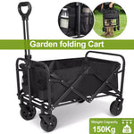 Beach Cart
