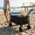 Beach Cart lifestyle
