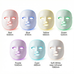 LED Face Mask