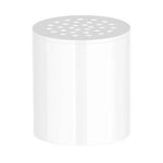 Water Flosser Pro